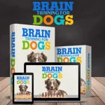 Brain Training 4 Dogs