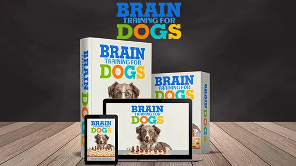 wwebchi deals brain training for dogs program